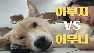 고사리는 아빠가좋아?엄마가좋아?   유기견|유기견입양|강아지