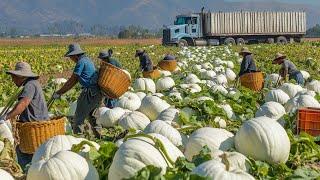 50+ Mind-Blowing Harvest Moments That Will Leave You Speechless - Agriculture Technology