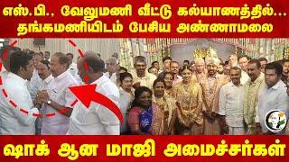 Annamalai Met Thangamani At SP Velumani's Son Wedding | Sengottaiyan | L Murugan | Kushboo