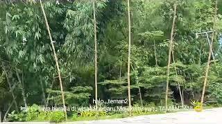 Wisata terbaru Mojokerto TAMAN TANI