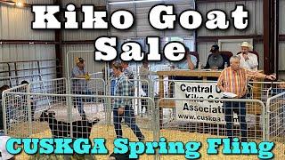 Over 5 Thousand for a Goat | Goat Sale | Kiko Goat Auction | Kiko Meat Goats