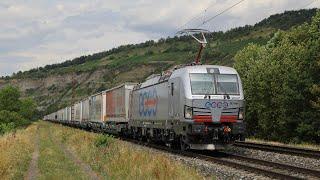 Züge bei/Trains at Thungersheim - 19/7/23