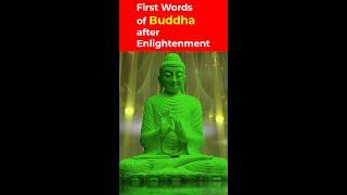 First Words of Buddha after Enlightenment #Shorts