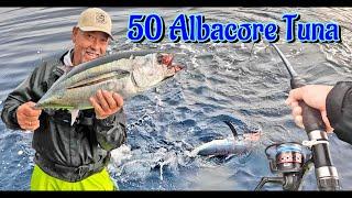 50 Albacore Tuna | Bloodbath 60 miles Offshore