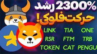 فوری2300%رشد شیباحرکت بزرگ فلوکی | میجر | فانتوم | کت