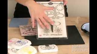 Stamping Tips with Stephanie Barnard from The {Stamps} of Life: Dragonfly Die