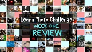 LEARN Photo Challenge Week 1 Review