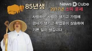 [최삿갓 운세]  2017년 올해 나의 운세는? 소띠편