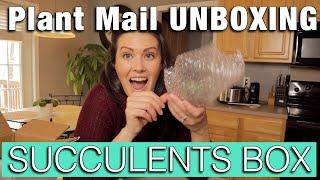 Succulents Box UNBOXING - Plant Mail Review - Plant Haul and Houseplant Unboxing