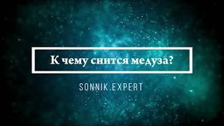 К чему снится медуза - Онлайн Сонник Эксперт