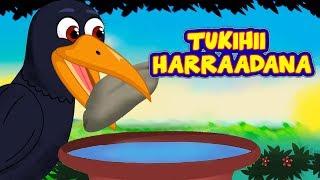 Tukihii Harraadana | SHEEKO CARUUREED | Somali Moral Story | Thirsty Crow Story af Somali