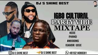 IGBO CULTURAL VIBE MIXTAPE 2024 BY DJ S SHINE BEST