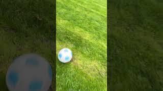 #soccer️Nice Goal