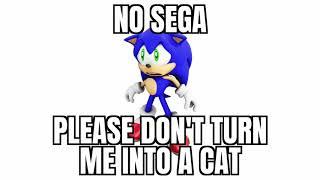 no sega please don't turn me into a cat