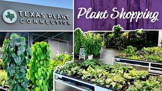 Rare Plant Wonderland: Texas Plant Connection Tour