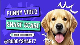 King Buddy’s Epic Party Gone Wild: Snake Scares Mom in Hilarious Dog Chaos! 