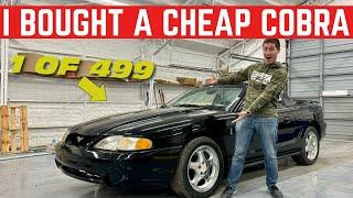 I Bought The CHEAPEST Mustang COBRA In The Country