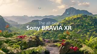 BRAVIA XR | Sony PH