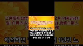 현재와 예언 #국운 #뉴스 #대예언#국조진어팔임 #예언 #국운예언 #예언서