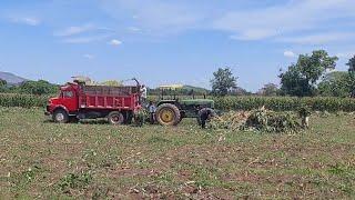 Esta vez anda un equipo de cuatro para trabajar duro en el campo.