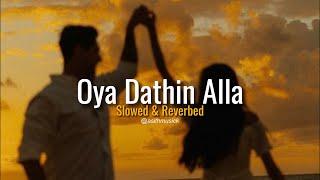 Oya Dathin Alla (ඔය දෑතින් අල්ලා) - ( Slowed + Reverb ) @Shavinofficial