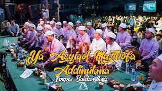 YA ASYIQOL MUSTHOFA & ADDINULANA AZ ZAHIR || Ponpes Balekambang