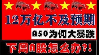 利好变利空？A50大暴跌！史上最大规模12万亿仍不及预期？！下周A股怎么办？（2024.11.10股市分析）