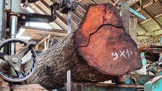 The process of splitting large, old mahogany wood originating from Asia