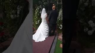 Tina and Carlton Joseph Wedding Video