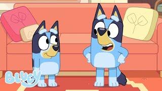 LIVE: Bluey's Adventures | Bluey