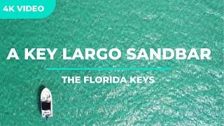 Explore Mosquito Sandbar, the best in the Florida Keys ️