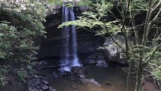 Hike In Ohiopyle