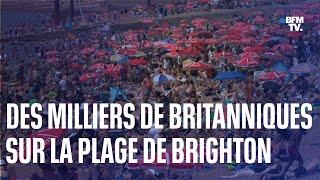 Avec les fortes chaleurs, des milliers de Britanniques se ruent sur la plage de Brighton