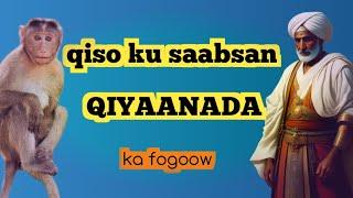 QISO KU SAABSAN QIYAANADA IYO HALISTEEDA@ABDIHAKIMPRO