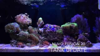 Nuvo Fusion 20 (Quick Update)