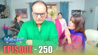 Bulbulay Season 2 Episode 250 | Comedy | Ayesha Omar & Nabeel | Momo | Mehmood Sahab