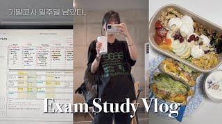 약대생vlog｜대학생 기말고사 1주전 공부 브이로그｜근데 다이어트 식단을 곁들인｜학부 연구생 끝!｜시험기간 뿌시기