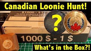 Hunting $1,000 in Canadian Loonies - Some great finds!!