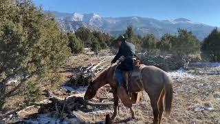 Jazelle’s First Ride on the Trail