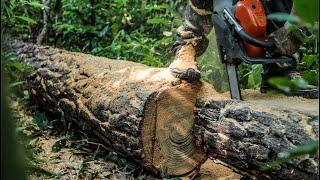 Building a Tiny Offgrid Cabin Ep2 Cutting The Floorboards