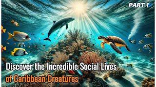 The Incredible Social Lives of Caribbean Creatures  Part 1