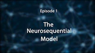 Stress, Trauma, and the Brain: Insights for Educators--The Neurosequential Model