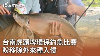 台南虎頭埤環保釣魚比賽 盼移除外來種入侵｜20241117 公視中晝新聞