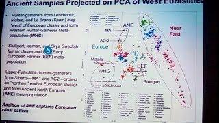 Genetics Reinforces the Eurasian Steppe & M.E. Origins of Europeans- Dr. Johannes Krause 2019