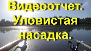 Уловистая насадка. Карась на удочку.