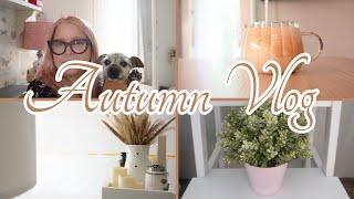 AUTUMN VLOG: UN SACCO DI NOVITA' BELLE E BRUTTE  | NUOVO BAGNO