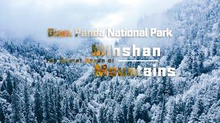 【Giant Panda National Park】 Minshan Secret Land | iPanda