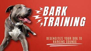 Dog Bark Training | Bark Reactivity | Bark Desensitization Sounds