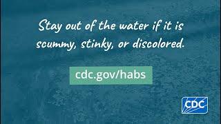 Harmful Algal Blooms and Health