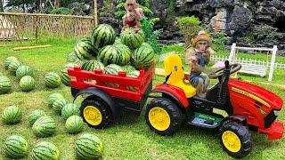 Farmer Bim Bim harvests watermelons and obediently takes care of you